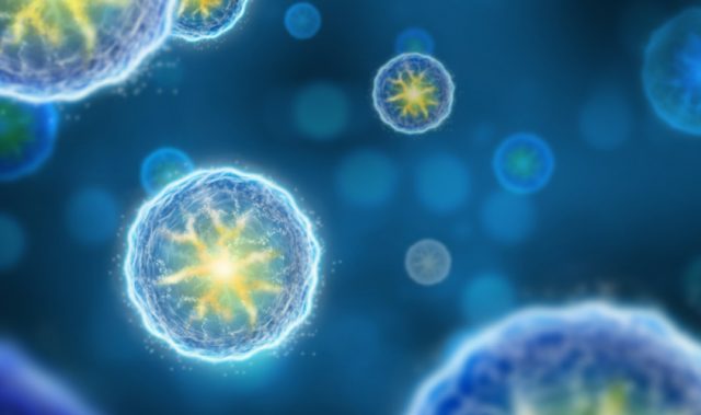 Indonesia’s Silent Carriers Of Norovirus