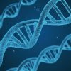Merck Granted CRISPR Patent In Singapore