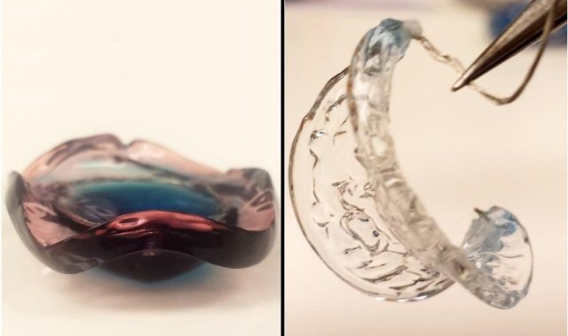 Hydrogels That Grow Like Living Tissues