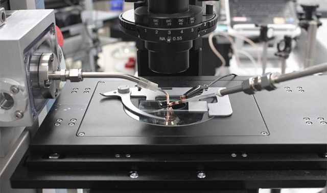 Analyzing Living Tissue With Mass Spectrometry