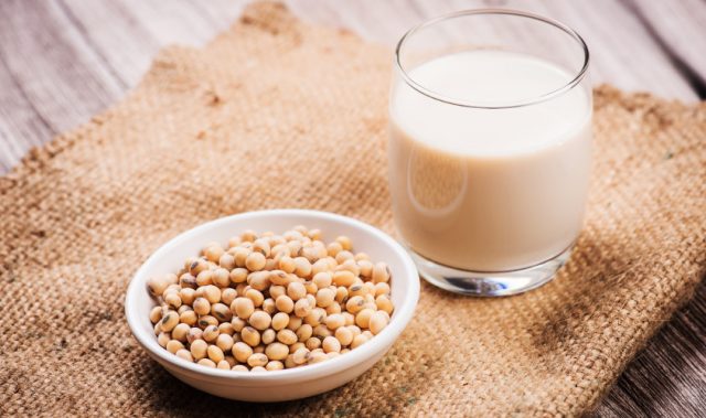 Soy Supplement Reduces Muscle Loss In Mice