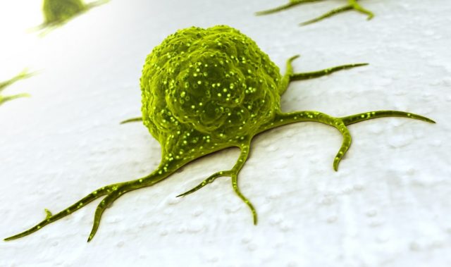 Precision Drug Release With Pumpkin-Shaped Molecules
