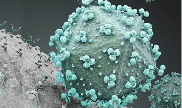 How HIV Possibly Jumped From Monkey To Man