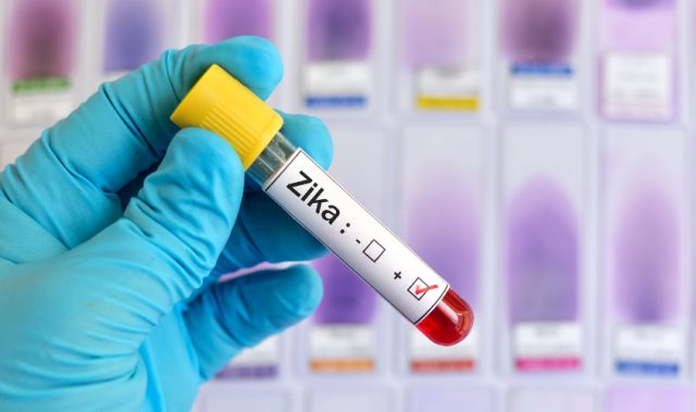 Zika Vaccine Candidate Produced In Insect Cells