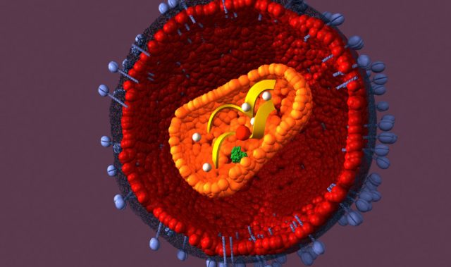 Gene Editing Blocks HIV Transmission In Cells