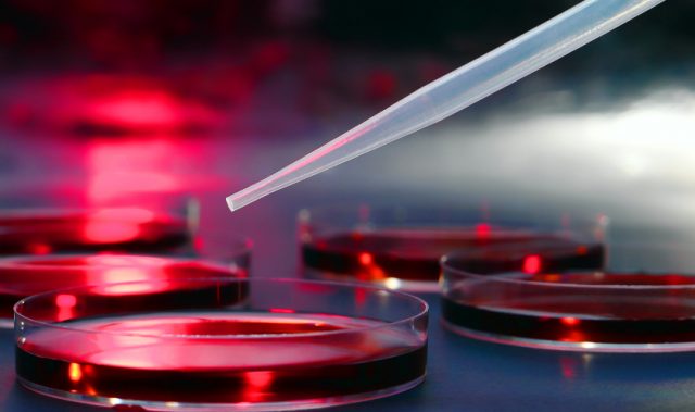WuXi To Establish Biologics Center In Northern China