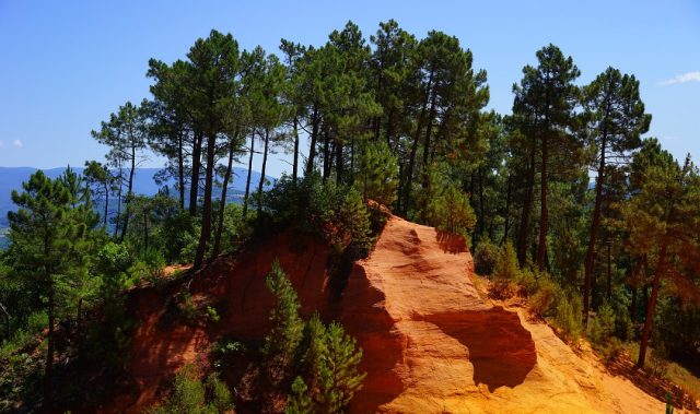 Moulding Clay Into Color-Changing Films