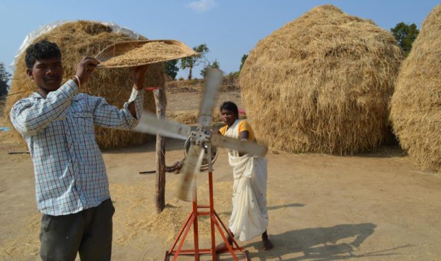 Swapping Crops To Ensure Food Security In India