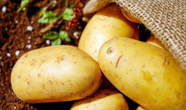 ‘Raincoat’ For Potatoes Keeps Them Fresh For Longer