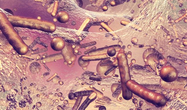 Finding The Achilles’ Heel Of Drug Resistant Bacteria