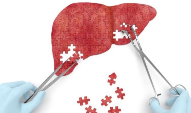 A Peptide That Protects Against Liver Cancer