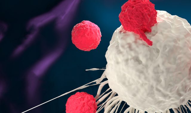 Lion TCR’s T-Cell Therapy Gets Phase I/II Trial Approval