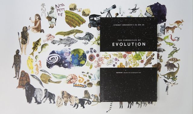 New Book Traces Humankind’s 14-Billion-Year Journey