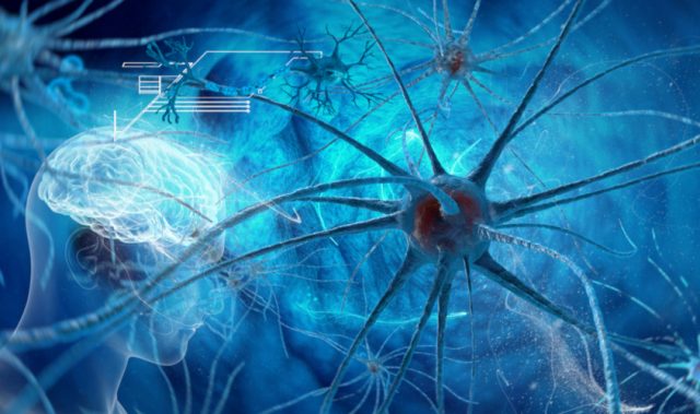 How Protein ‘Entanglement’ Leads To Brain Diseases