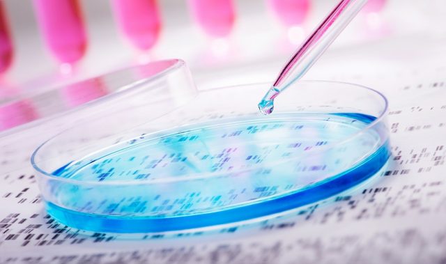 PHC Acquires Thermo Fisher’s Pathology Arm For US$1.14B