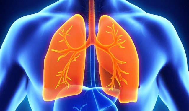 Basophils Are Bad Actors In COPD
