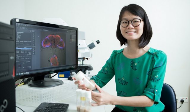 Asia’s Rising Scientists: Sherry Aw