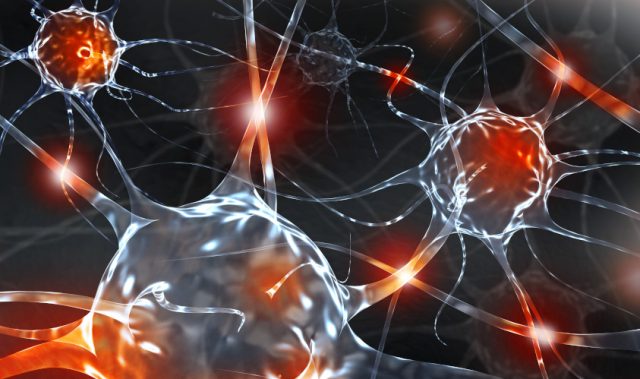 Collagen Gel Helps Turn Stem Cells Into Neurons