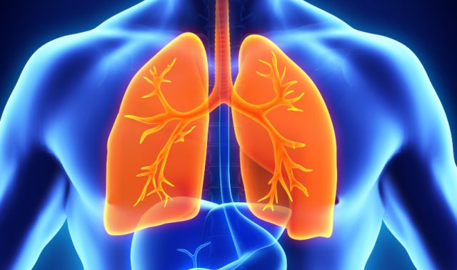 DNA Damage In Early Life Linked To Lung Cancer