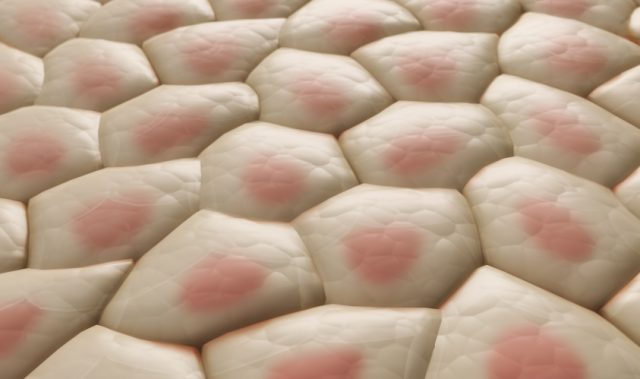 Eczema Apps Inconsistent With Clinical Guidelines