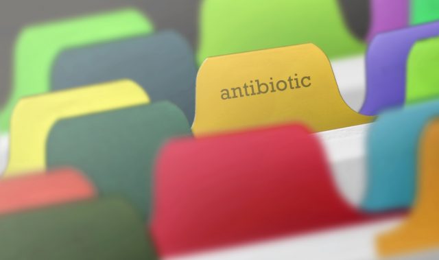 Understanding Southeast Asians’ Attitudes Towards Antibiotics