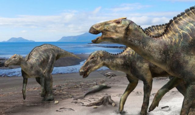 Scientists In Japan Uncover New Dinosaur Species