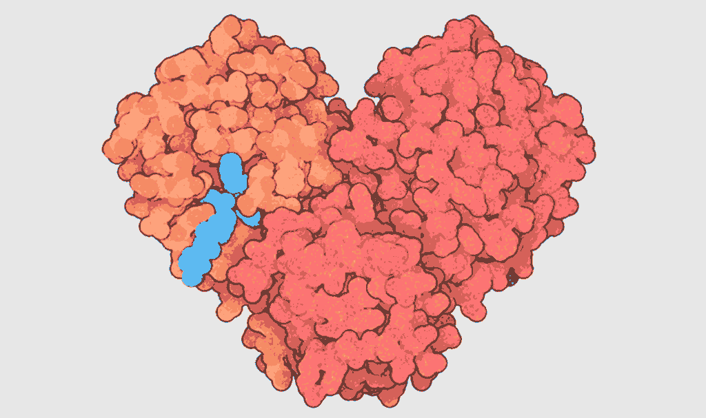 [Image: COVID19-protease-wuhan-virus.gif]