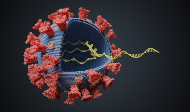 Scientists Unveil The Transcriptome Of SARS-CoV-2