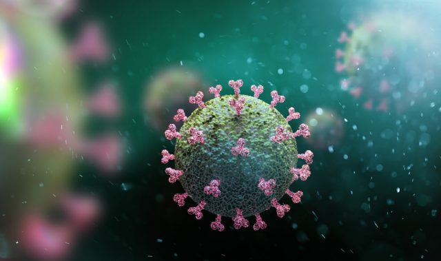 Two Coronavirus Lineages But Similar Clinical Outcomes, Study Shows