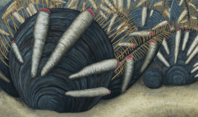 Cambrian-era Parasite Stole Ancient Brachiopod’s Food