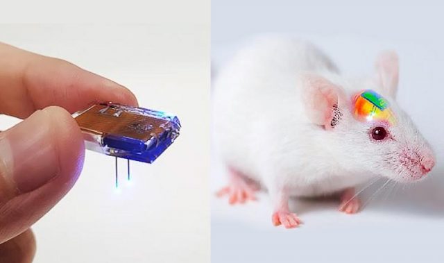 Look Ma, No Wires: Charging The Next Generation of Brain Implants