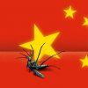 How China Beat Malaria