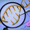 Cutting Down Barriers In Bacterial Genome Editing