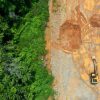 Carbon Emissions Skyrocket In Deforested Southeast Asia