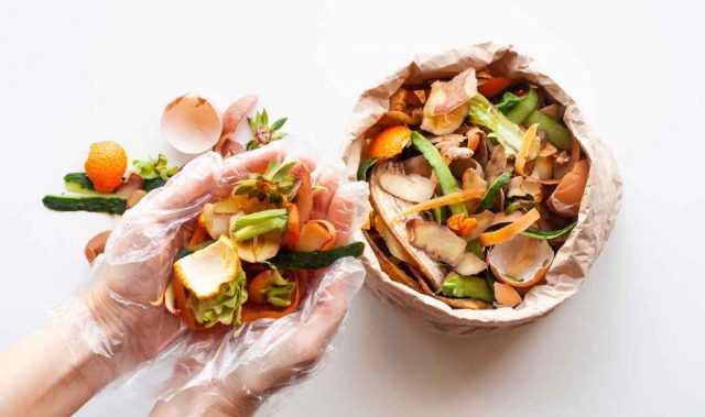 Extracting New Worth From Food Waste