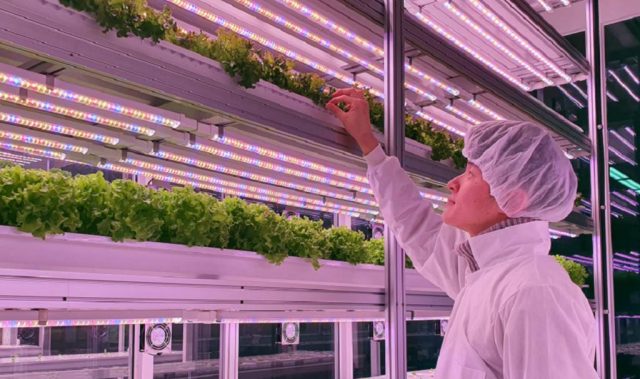 Sparking Sustainable Food Developments At IPHatch 2021