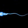 New Research Advances Treatment Of Male Infertility