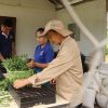 Getting To The Root Of Southeast Asia’s Cassava Concerns