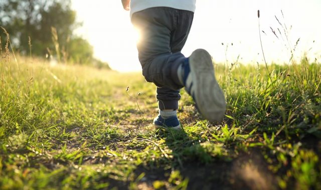 Equitable Access To Nature Improves Wellbeing In Urban Areas