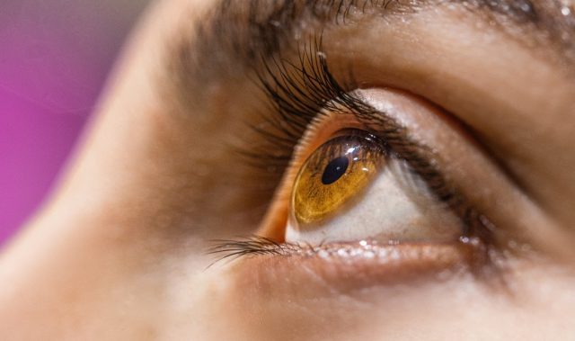 Eye Blinks Reveal How The Brain Tracks Musical Rhythm