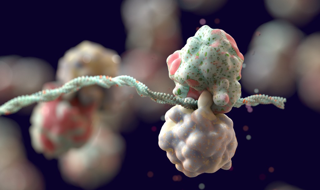 How Cells Eliminate Inefficient Ribosomes – Asian Scientist Magazine