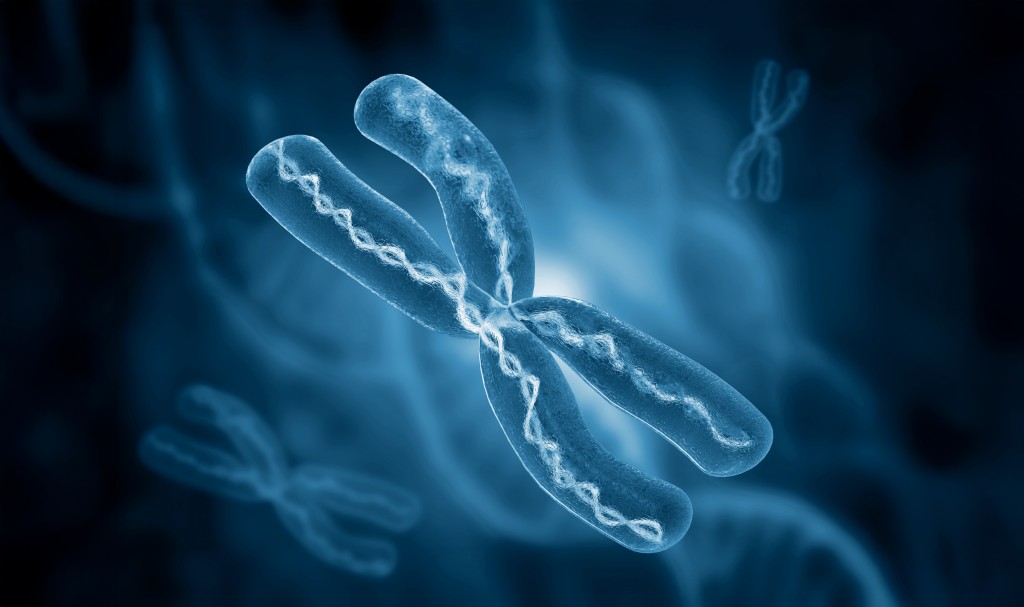 Loss of X Chromosome May Reduce Chances Of Natural Pregnancy – Asian Scientist Magazine Loss of X Chromosome May Reduce Chances Of Natural Pregnancy – Asian Scientist Magazine
