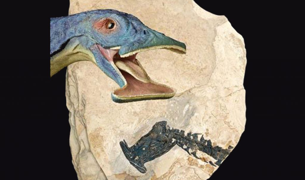 Hammerhead' Dinosaur Is The Oldest Herbivorous Marine Reptile - Asian  Scientist Magazine