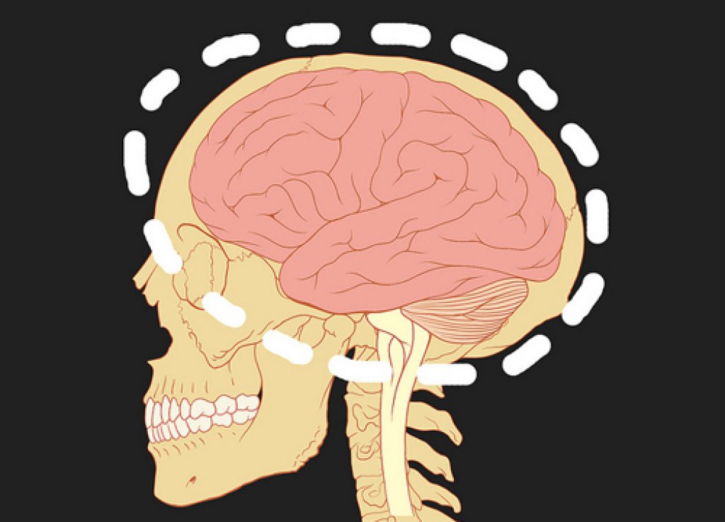 The Surprising Way DHA Reaches The Brain Asian Scientist Magazine