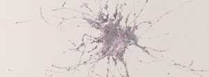 How Water Striders’ Hairy Legs Repel Water | Asian Scientist Magazine ...